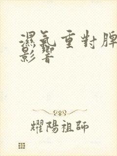 湿气重对脾胃的影响