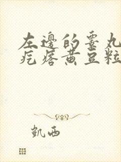 左边的睾丸有个疙瘩黄豆粒大