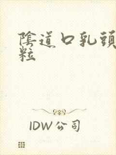 阴道口乳头状颗粒
