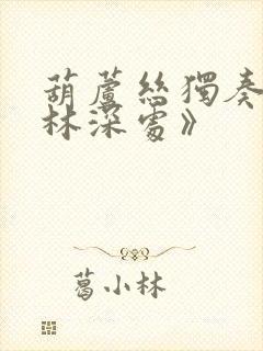 葫芦丝独奏《竹林深处》