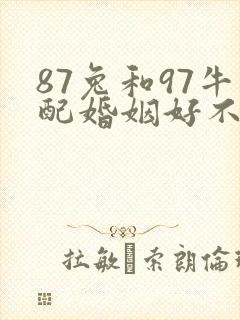 87兔和97牛配婚姻好不好封面
