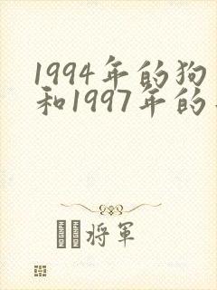 1994年的狗和1997年的牛相配吗封面