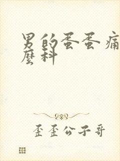 男的蛋蛋痛挂什么科