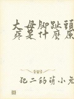 大母脚趾头关节疼是什么原因封面