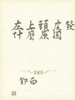 左上头皮发麻是什么原因封面