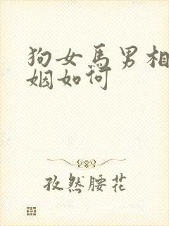 狗女马男相配婚姻如何