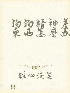 狗狗精神差不吃东西怎么办