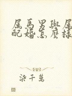 属马男与属鸡女配婚怎么样