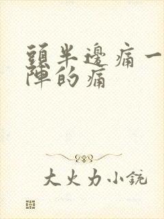 头半边痛一阵一阵的痛封面