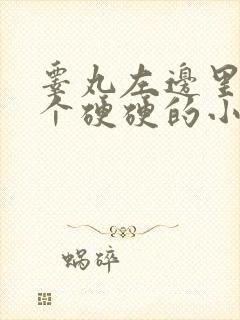 睾丸左边里面有个硬硬的小疙瘩疼