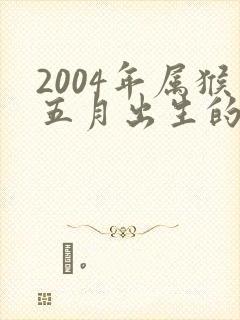 2004年属猴五月出生的人命运