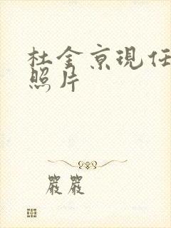 杜金京现任丈夫照片