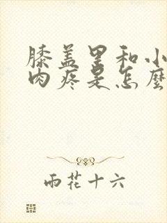 膝盖里和小腿肌肉疼是怎么回事