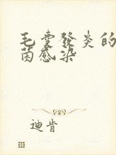 毛囊发炎的是真菌感染