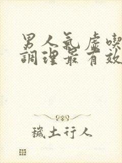 男人气虚吃什么调理最有效