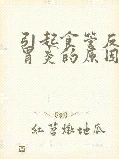 引起食管反流性胃炎的原因封面