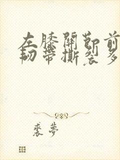 左膝关节前交叉韧带撕裂多久能恢复封面