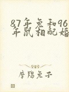 87年兔和96年鼠相配婚姻如何