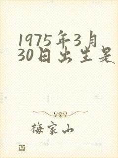 1975年3月30日出生是什么命封面