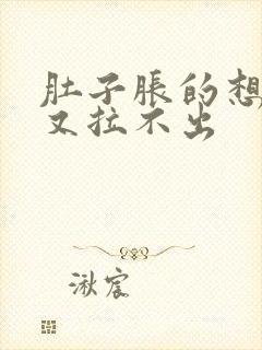 肚子胀的想拉屎又拉不出