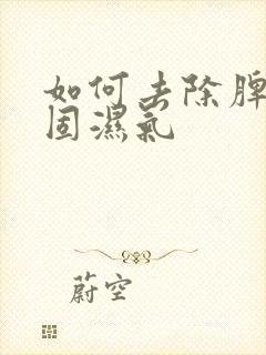 如何去除脾胃顽固湿气