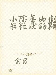 小阴唇内侧长了米粒状的颗粒封面