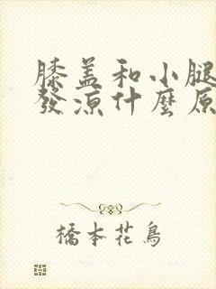 膝盖和小腿怕冷发凉什么原因