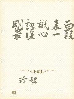 刚认识表白情话最暖心一段话封面