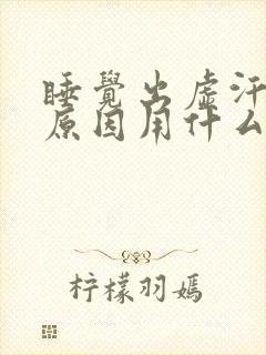 睡觉出虚汗什么原因用什厶药封面