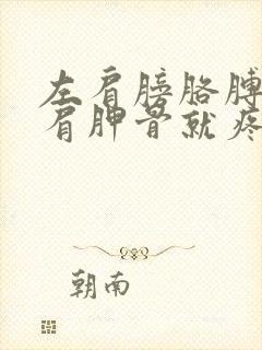 左肩膀胳膊一抬肩胛骨就疼