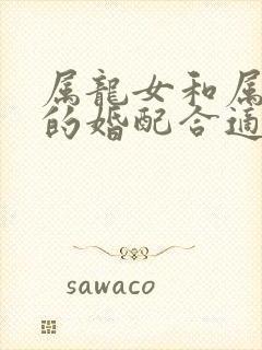 属龙女和属马男的婚配合适吗封面