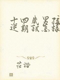 十四岁男孩子叛逆期该怎样沟通