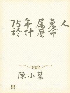 75年属兔人属于什么命