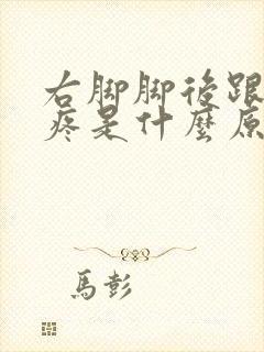 右脚脚后跟内侧疼是什么原因