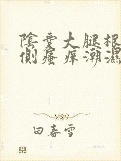 阴囊大腿根部内侧瘙痒潮湿有异味怎么办