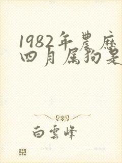 1982年农历四月属狗是什么命封面