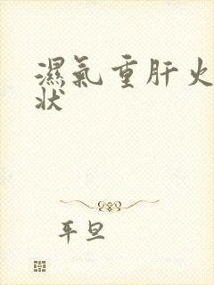 湿气重肝火旺症状