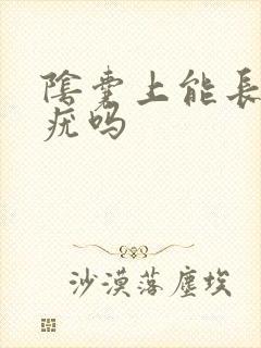 阴囊上能长丝状疣吗