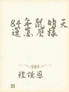 84年鼠明天财运怎么样封面