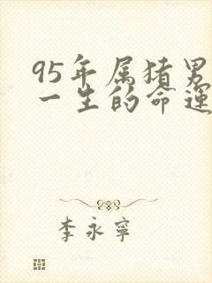 95年属猪男人一生的命运婚姻封面
