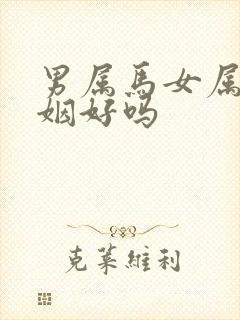 男属马女属龙婚姻好吗