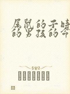 属鼠的子时出生的男孩的命运封面