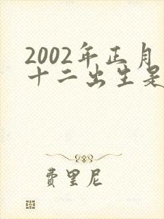 2002年正月十二出生是什么命