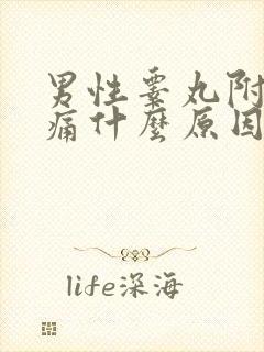 男性睾丸附近疼痛什么原因封面