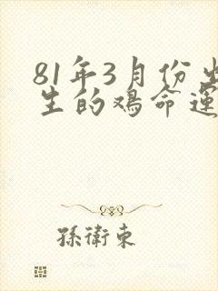 81年3月份出生的鸡命运如何