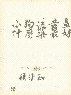 小狗流黄鼻涕吃什么药最好呢封面