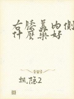 右膝盖内侧疼吃什么药好