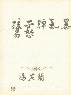 孩子脾气暴躁,易怒