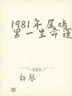 1981年属鸡男一生命运如何