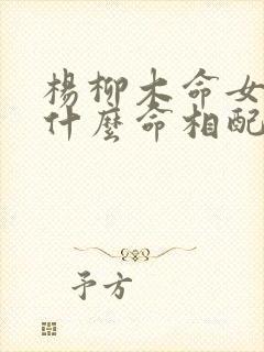 杨柳木命女孩和什么命相配